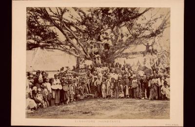 A sepia photograph of a large ground of people in and around a large tree.