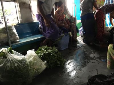 Women with large plastic bags full of plants on the train.