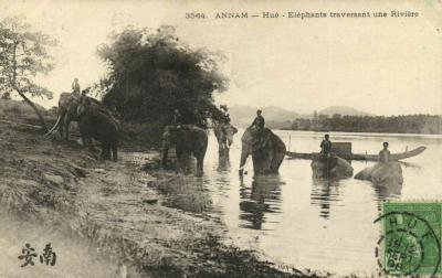 Phường Đúc, Kinh Nhơn - Elephants traversing the river