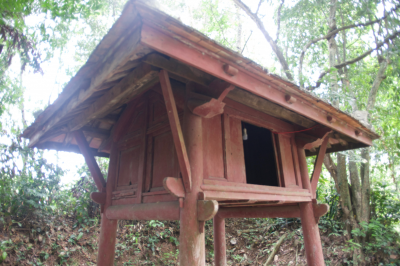 A local goddess shrine hidden in the paddy rice fields - Nguyệt Biều Village